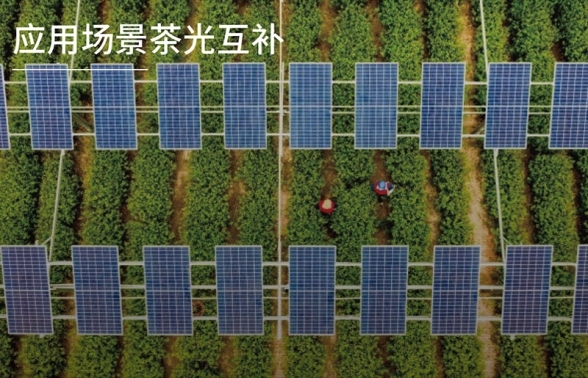 茶光互補應用場景