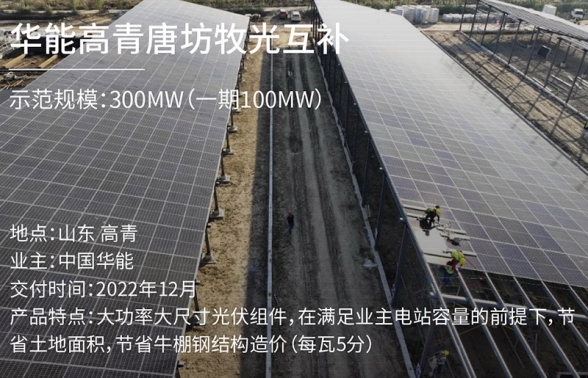 華能高青唐坊牧光互補